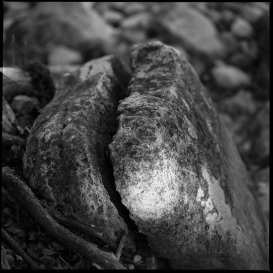 The Secret Life of a Rock, Hasselblad 500cm Ilford sfx 200 Thomas Hooper 2020